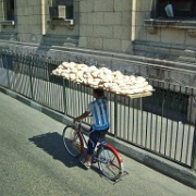 Bread delivery, Cairo 3.jpg