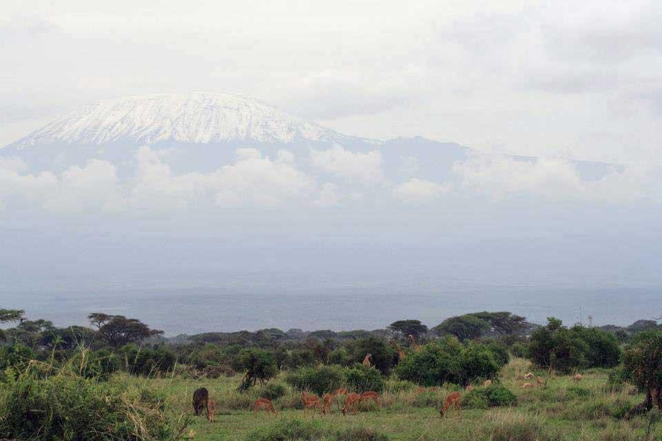 Amboseli Kilimanjaro 107