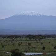 Kilimanjaro, Kilima Safari Camp 131.jpg