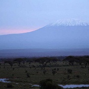 Kilimanjaro, Kilima Safari Camp 132.jpg