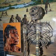 Nairobi National Museum 116.jpg