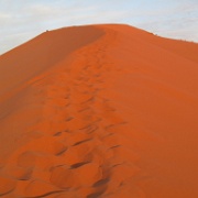 Sahara, Morocco 264.jpg