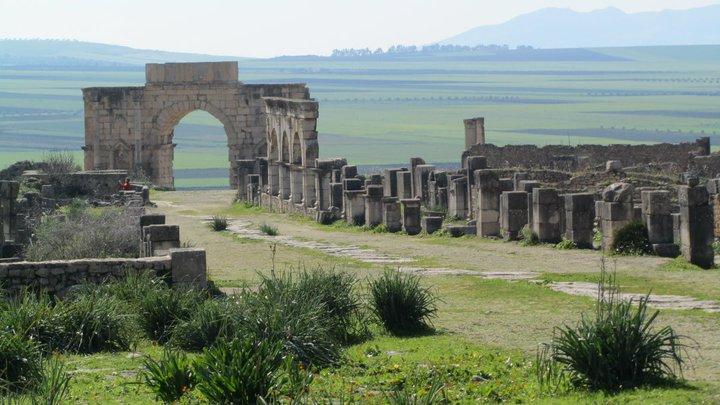 Roman ruins at Volubilis 059