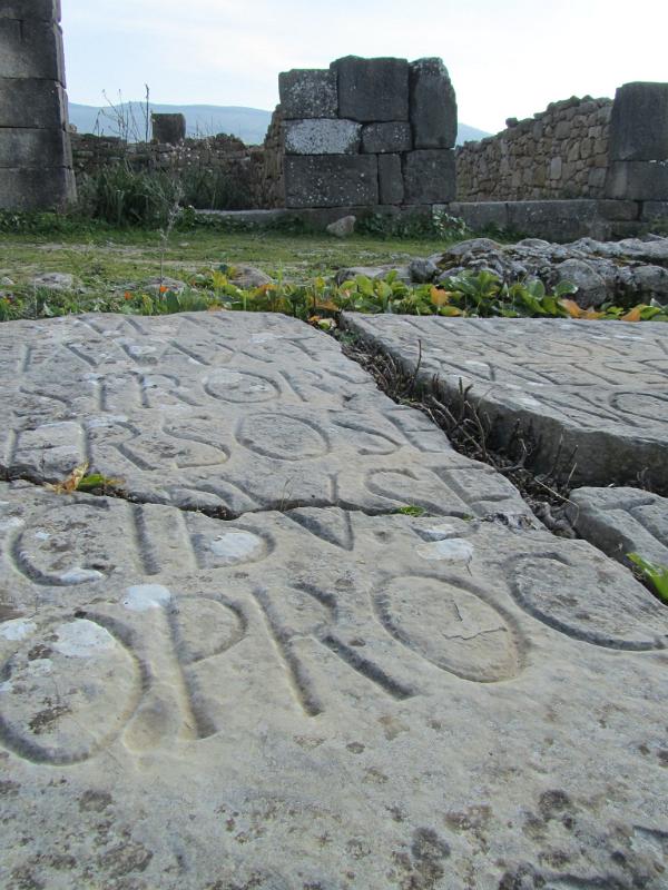 Roman ruins at Volubilis 069