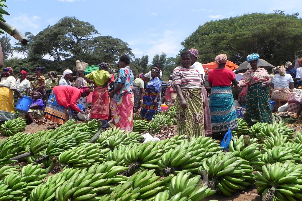 Bananas, Marangu Market 092