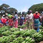Bananas, Marangu Market 092.JPG