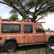 Lunch on the Serengeti 0277.jpg