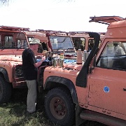 Time for tea on the Serengeti 0275.jpg