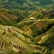 longji-rice-terraces-china.jpg