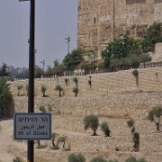 city-wall-from-mount-of-olives-jerusalem.jpg