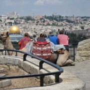 tourist-view-jerusalem.jpg