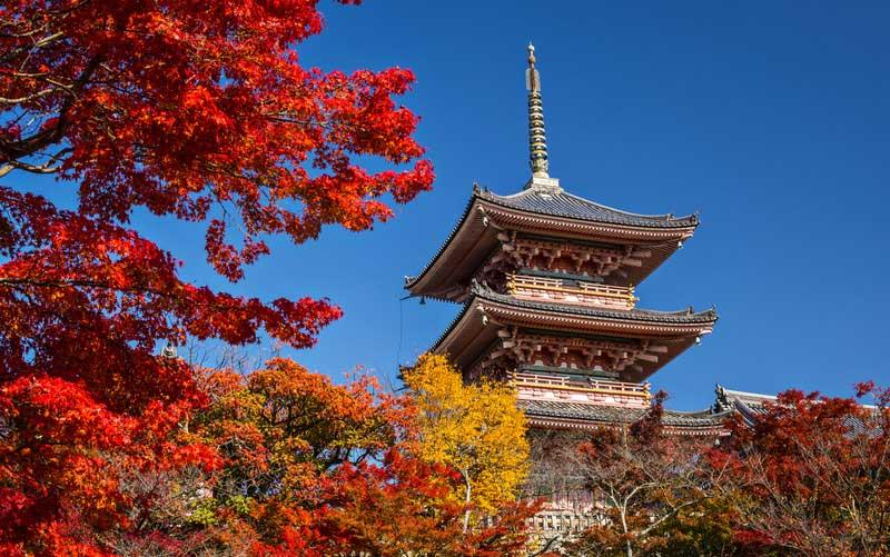 kiyomizu-temple-kyoto-japan