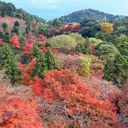 autumn-kyoto-japan.jpg