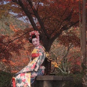 geisha-kyoto-japan.jpg