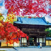 jingo-ji-buddhist-temple-kyoto-japan.jpg