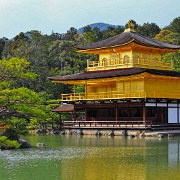 kinkakuji-temple-golden-pavilion-kyoto.jpg