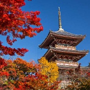 kiyomizu-temple-kyoto-japan.jpg