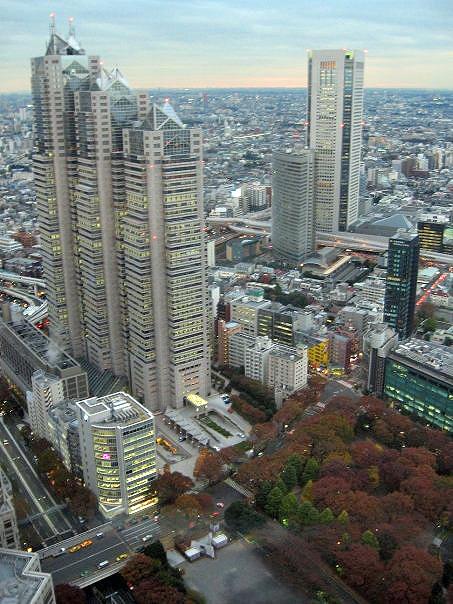 view-from-tokyo-metropolitan-government-buildings-tower