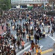 shibuya-crossing-pedestrians-go-tokyo.jpg