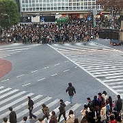 shibuya-crossing-pedestrians-wait-tokyo.jpg