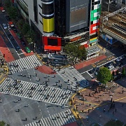 shibuya-crossing-tokyo.jpg