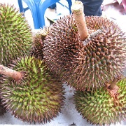 durian-fruit-kota-kinabalu.jpg