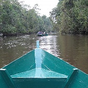 kinabatangan-river-cruise-borneo.jpg