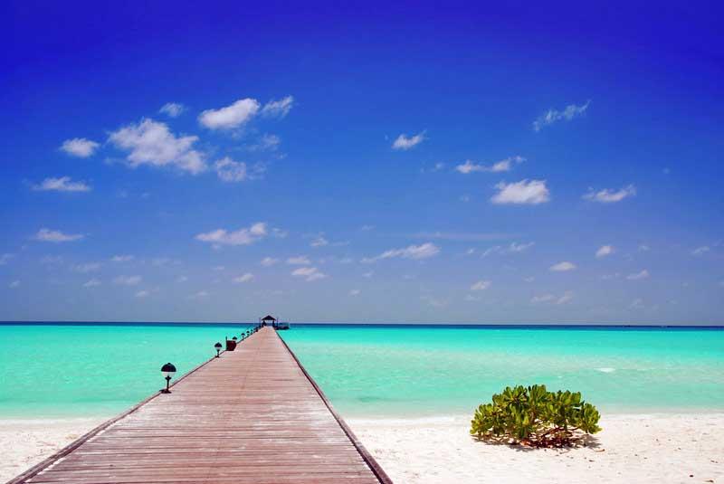 dock-maldives