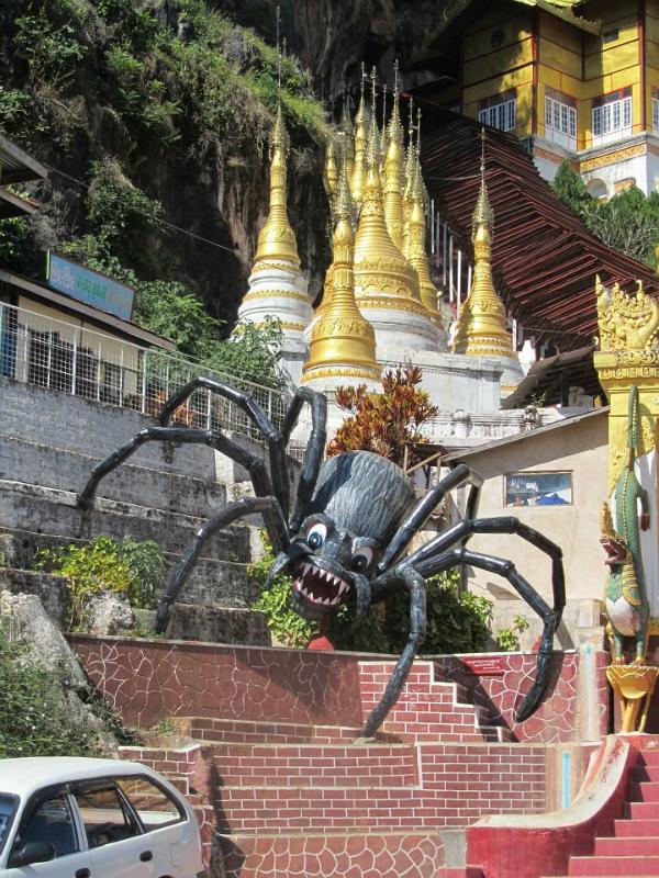 pindaya-spider-myanmar