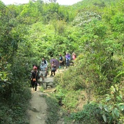 sapa-rice-terraces-trail.jpg