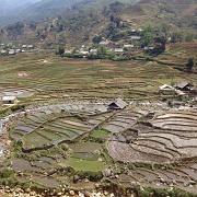 sapa-rice-terraces-vietnam-4.jpg