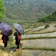 women-working-for-tips-sapa-rice-terraces-vietnam.jpg