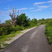 Bike Excursion, Bonaire 06.JPG