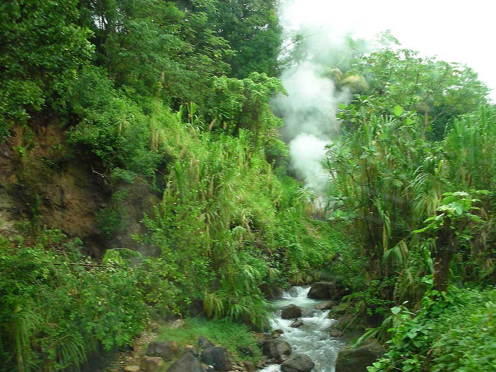 Fumerole steam vents Dominica 106