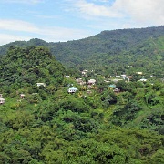 Rainforest, Grenada 05.JPG