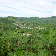 Rainforest, Grenada 16.JPG