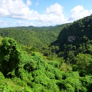 Rainforest, St Lucia 17.JPG