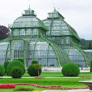 Botanical Garden of the University of Vienna 10575103.jpg