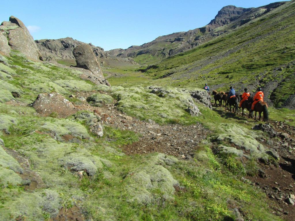 Horseback Riding, Iceland 123