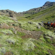 Horseback Riding, Iceland 123.jpg