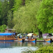 lake-bled-boats-slovenia.jpg