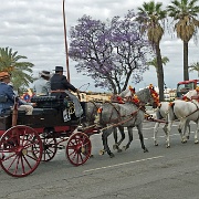 seville-spain-april-fair-carriage.jpg
