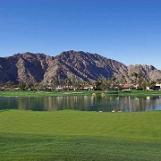 Golf Course, Palm Springs, California 1325832.jpg