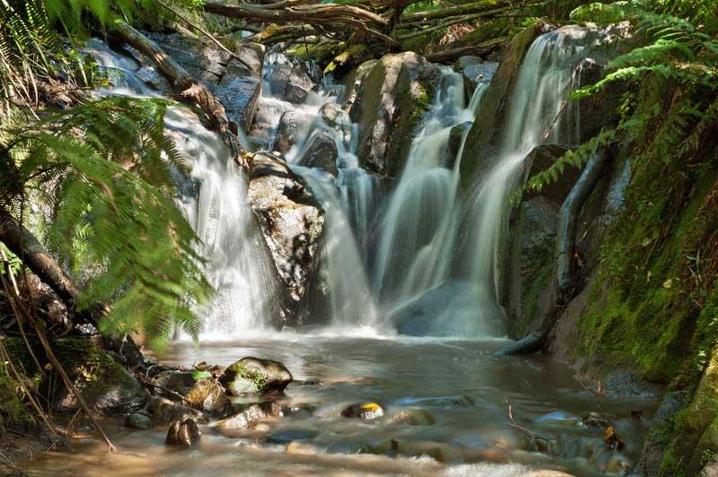 Olinda Falls, Dandenong Ranges, near Melbourne 9418641