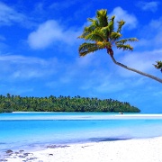Palm Tree on One Foot Island.jpg
