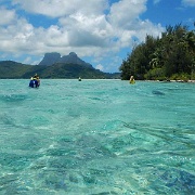 Bora Bora snorkel.jpg