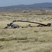 Burned out Argentine helicopter frame from Falklands War.jpg