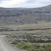 Falklands landscape.jpg