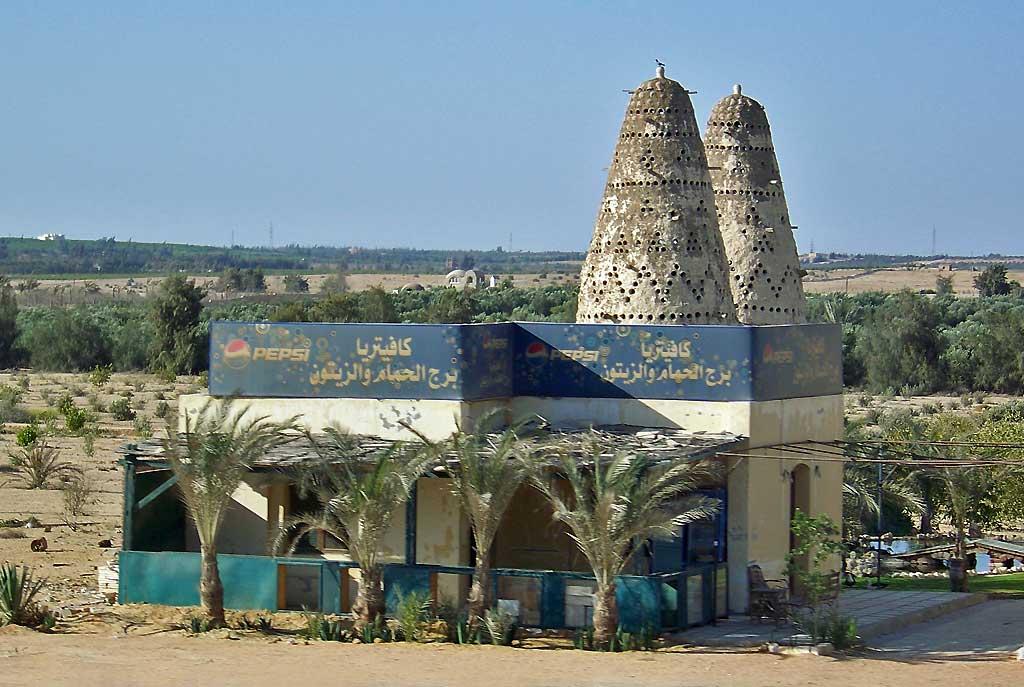 Pigeon coops, rural Egypt 7