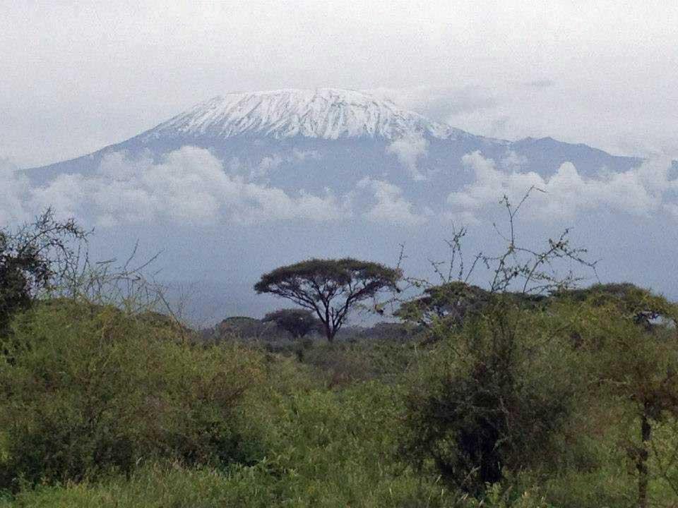Kilima Safari Camp 109